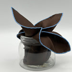 Cruciani &amp; Bella
Hand-rolled&nbsp;&nbsp;
100% Silk
Brown and Light Blue Border
Motif Pocket Square
Made in England
30 cm X 30 cm
#0869