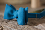 Noodles - Bow Ties - Wool  -  Turquoise